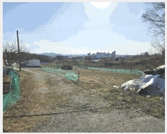  2025Ÿ��11383  ���������