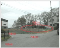  2025Ÿ11456 泲 ƻ  ų 381-13      (1)