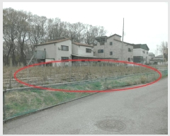  2025Ÿ11456 泲 ƻ  ų 381-13      (1)