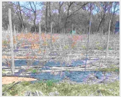  2025Ÿ11456 泲 ƻ  ų 381-13      (1)