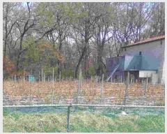  2025Ÿ11456 泲 ƻ  ų 381-13      (1)