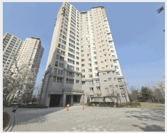  2025Ÿ11473 泲 ƻ  637 ĳ︲1 109 9903ȣ    Ʈ