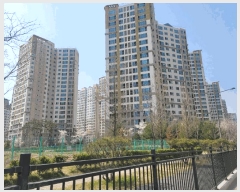  2025Ÿ11473 泲 ƻ  637 ĳ︲1 109 9903ȣ    Ʈ