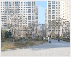  2025Ÿ11473 泲 ƻ  637 ĳ︲1 109 9903ȣ    Ʈ