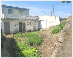  2025Ÿ11478 泲 õȽ ϱ  õ︮ 263-19     ()