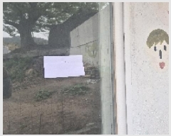  2025Ÿ11478 泲 õȽ ϱ  õ︮ 263-19     ()