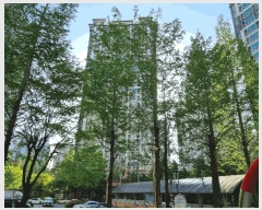  2025Ÿ��11585 �泲 õ�Ƚ� ������ �� 596 ��� �Ѷ��ߵ� 117�� 14��1402ȣ  ����Ʈ���