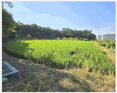  2025Ÿ��11746 �泲 �ƻ�� ���ָ� ���渮 150-9      ����(��)���