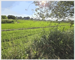  2025Ÿ��11746 �泲 �ƻ�� ���ָ� ���渮 150-9      ����(��)���