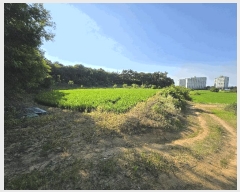  2025Ÿ��11746 �泲 �ƻ�� ���ָ� ���渮 150-9      ����(��)���