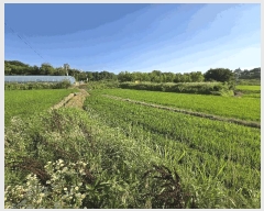  2025Ÿ��11746 �泲 �ƻ�� ���ָ� ���渮 150-9      ����(��)���