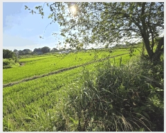  2025Ÿ��11746 �泲 �ƻ�� ���ָ� ���渮 150-9      ����(��)���