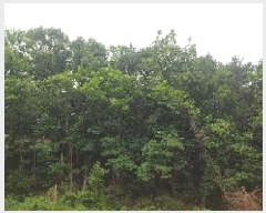  2025Ÿ��11777 �泲 �ƻ�� ������ ���긮 ��8-10      ����(�Ӿ�)���