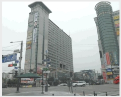  2025Ÿ��11777 �泲 �ƻ�� ������ ���긮 ��8-10      ����(�Ӿ�)���