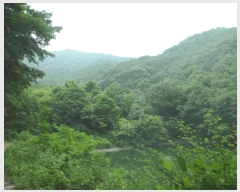  2025Ÿ��11777 �泲 �ƻ�� ������ ���긮 ��8-10      ����(�Ӿ�)���