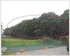  2025Ÿ��11777 �泲 �ƻ�� ������ ���긮 ��8-10      ����(�Ӿ�)���