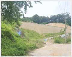  2025Ÿ��11809 �泲 õ�Ƚ� ������ ��õ�� �Ｚ�� ��51     ����(�Ӿ�)���