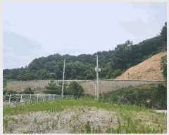  2025Ÿ��11809 �泲 õ�Ƚ� ������ ��õ�� �Ｚ�� ��51     ����(�Ӿ�)���