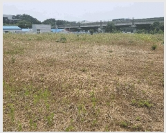  2025Ÿ��11809 �泲 õ�Ƚ� ������ ��õ�� �Ｚ�� ��51     ����(�Ӿ�)���