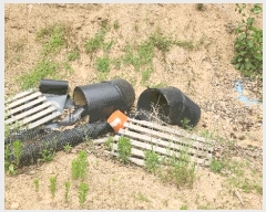  2025Ÿ��11809 �泲 õ�Ƚ� ������ ��õ�� �Ｚ�� ��51     ����(�Ӿ�)���