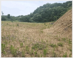  2025Ÿ��11809 �泲 õ�Ƚ� ������ ��õ�� �Ｚ�� ��51     ����(�Ӿ�)���