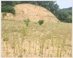  2025Ÿ��11809 �泲 õ�Ƚ� ������ ��õ�� �Ｚ�� ��51     ����(�Ӿ�)���