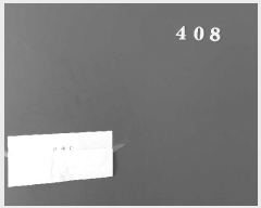  2025Ÿ��11837  ��������Ȱ���ð��