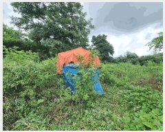  2025Ÿ��11880  ���������