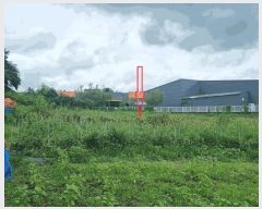  2025Ÿ��11880  ���������