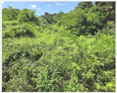  2025Ÿ��11880  ���������