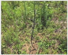  2025Ÿ��11880  ���������