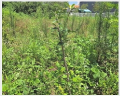  2025Ÿ��11880  ���������