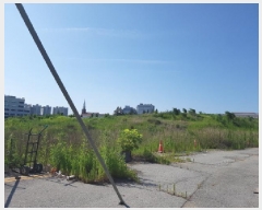  2025Ÿ��11907  �������