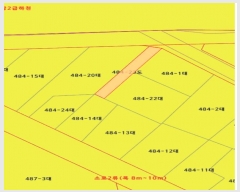  2025Ÿ��11934  ���ΰ��