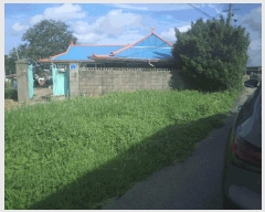  2025Ÿ��11956  �����