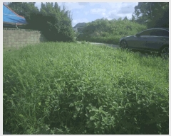  2025Ÿ��11956  �����