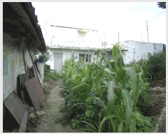  2025Ÿ��11956  �����