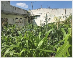  2025Ÿ��11956  �����