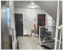  2025Ÿ��11967  �ټ���(����)���