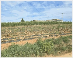  2025Ÿ��12103  �����