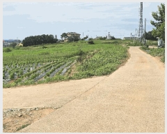  2025Ÿ��12103  �����