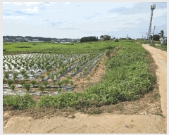  2025Ÿ��12103  �����