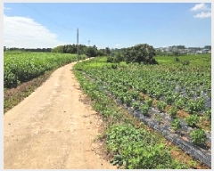  2025Ÿ��12103  �����