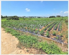  2025Ÿ��12103  �����