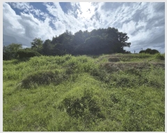  2025Ÿ��12148 �泲 �ƻ�� ��â�� ������ 447-1      ����(��1)���