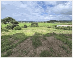  2025Ÿ��12148 �泲 �ƻ�� ��â�� ������ 447-1      ����(��1)���