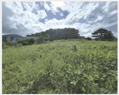  2025Ÿ��12148 �泲 �ƻ�� ��â�� ������ 447-1      ����(��1)���