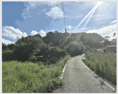  2025Ÿ��12148 �泲 �ƻ�� ��â�� ������ 447-1      ����(��1)���