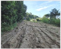  2025Ÿ��12148 �泲 �ƻ�� ��â�� ������ 447-1      ����(��1)���