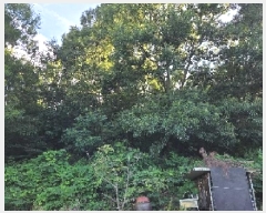  2025Ÿ��12148 �泲 �ƻ�� ��â�� ������ 447-1      ����(��1)���